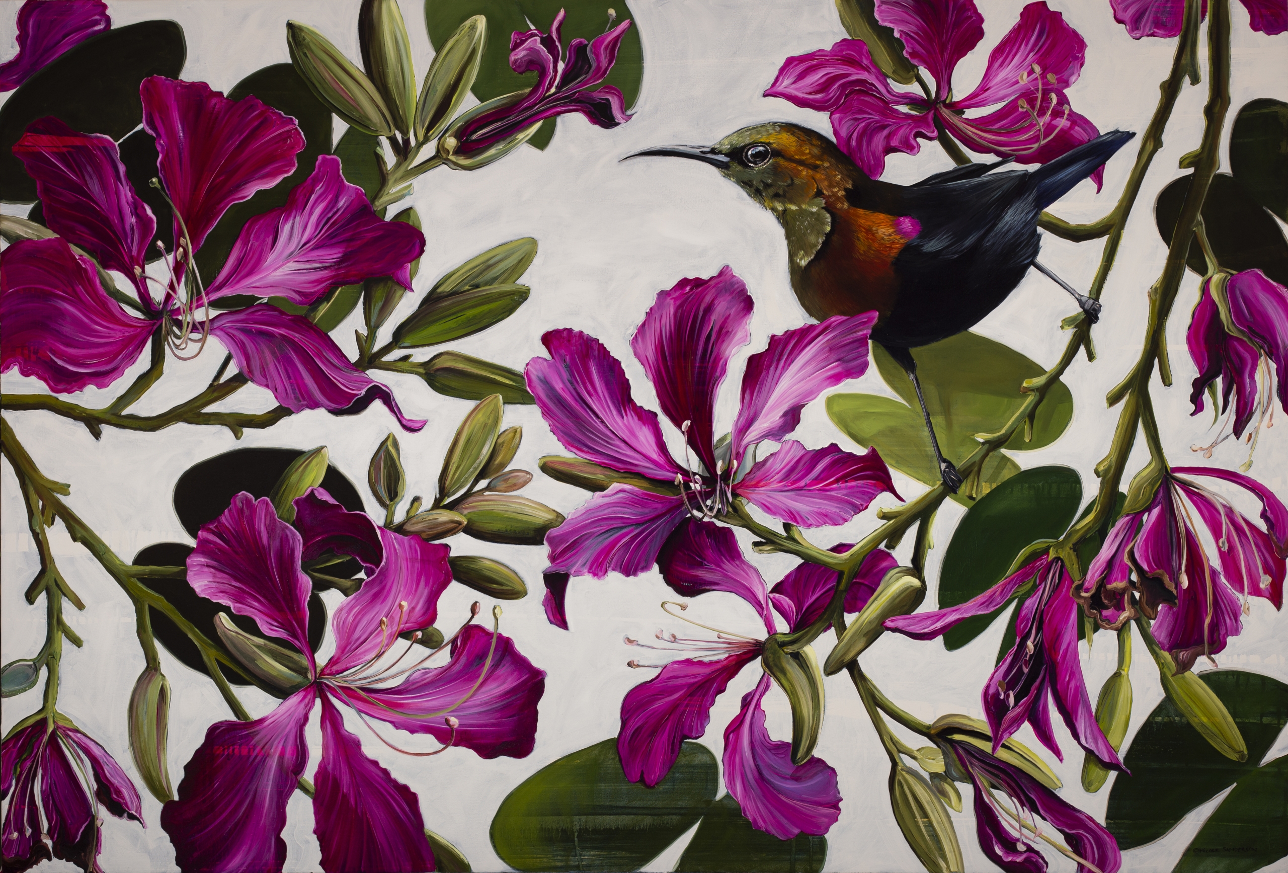 Nicole-Sanderson-Bohemian-orchid-copper-sunbird